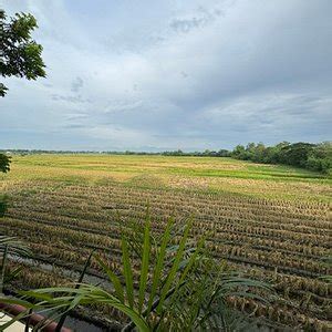 𝗧𝗛𝗘 𝟭𝟬 𝗕𝗘𝗦𝗧 Hotels in Urdaneta City of Aug 2024 (from ₱913).
